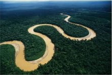 Шаманский тур в амазонской сельве Перу ко Дню Всех Влюблённых. С 13 по 22 февраля