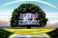 Базовый курс Древа Жизни в Севастополе, ФевралЬ с 12 по14