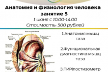Курс "Анатомия и физиология человека" Занятие 5