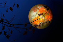 Колесо Новолуний: Луна опадающих листьев