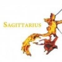 Тренинговый центр Sagittarius