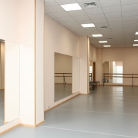 Центр поддержки и изучения искусства танца ГрандБалет
