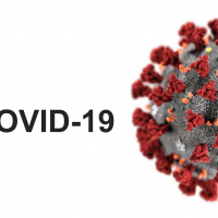 Особенности клинической лабораторной диагностики при новой коронавирусной инфекции covid-19
