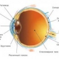 Семинар Открытие Pro-зрение
