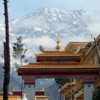Йога - тур в Гималаи с Еленой Кан