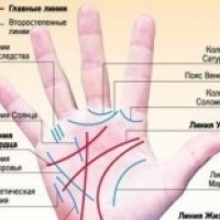 Хиромантия для начинающих: как корректируют судьбу с помощью линий на руке