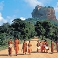 Выездной тренинг Благословенный остров Шри-Ланка: Территория твоей гармонии