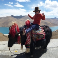 Все святыни Тибета: Кайлаш, Манасаровар, Лхаса