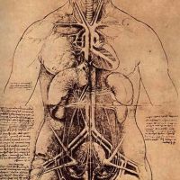 Семинар И.А. Тоноян-Беляева "Нормальная анатомия и физиология человека с точки зрения аюрведы: основные системы и процессы"