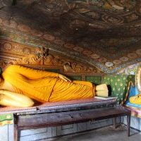 Новогоднее путешествие на Шри-Ланку Все сбудется! 4-16 января 2016