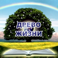 Базовый курс Древа Жизни в Севастополе, ФевралЬ с 12 по14