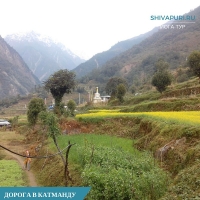 Йога-тур «В Гималаи за тишиной»