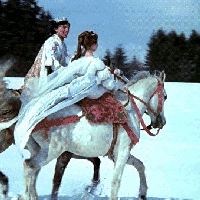 Программа "Принц на белом коне"