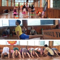 Интенсивный курс по Хатха-йоге в Ришикеше для преподавателей