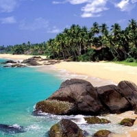 Шри-Ланка. Йога-отдых