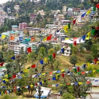 Северная Индия: Йога-тур в Гималаи с 23 апреля по 7 мая 2017г