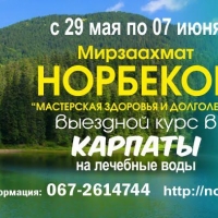 29 мая-7 июня. Выездной курс Норбекова М.С. «Мастерская здоровья и успеха» в Карпаты на бальнеологический курорт