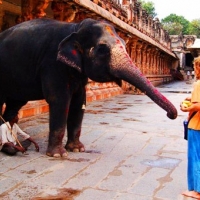 "махадев МОЙ махадев."  Парикрама- паломнический тур по святым местам Южной Индии