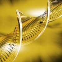 03 декабря — Активации ДНК Изобилия 12 сфер Жизни
