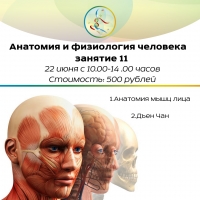 Курс "Анатомия и физиология человека" Занятие 11