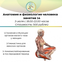 Курс "Анатомия и физиология человека" Занятие 14