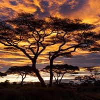 Национальные парки Африки +