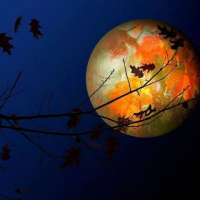 Колесо Новолуний: Луна опадающих листьев