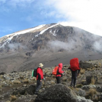 Восхождение на Килиманджаро c Кириллом Ржаным (маршрут Мачаме)
