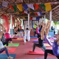 Сертификационный курс инструкторов йоги в Южной Индии, 100 часов