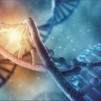 Генные ключи — это активация вашего ДНК или раскрытие клеточного кода