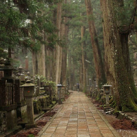 Йога-тур в Японию. «Осенний дзен. Искусство обретения спокойствия»