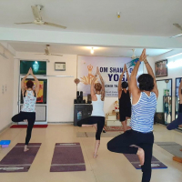 Онлайн курс инструкторов йоги, 100 часов. Школа "Ом Шанти Ом". Индия. Ришикеш