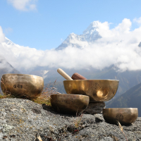 Обучение массажу тибетскими поющими чашами