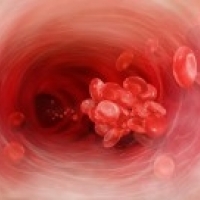 Семинар Многоуровневое очищение крови — ключ к исцелению тела и души