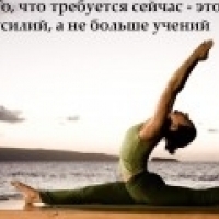Программа День йоги в России. Всероссийская акция