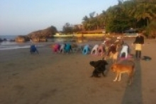 Семинар Зимние йога-каникулы на побережье Индийского океана. Для взрослых и детей