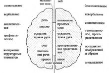 Обучение методике вербальной гармонизации полушарий головного мозга для волонтеров