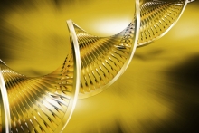 03 декабря — Активации ДНК Изобилия 12 сфер Жизни