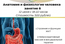 Курс "Анатомия и физиология человека" Занятие 8