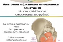 Курс "Анатомия и физиология человека" Занятие 10