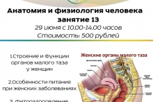 Курс "Анатомия и физиология человека" Занятие 13