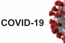 Особенности клинической лабораторной диагностики при новой коронавирусной инфекции covid-19