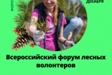 ЭКА приглашает астраханцев к участию в Форуме лесных волонтеров