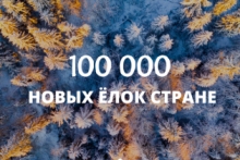 В Астрахани запустили акцию «100 тысяч новых ёлок стране»